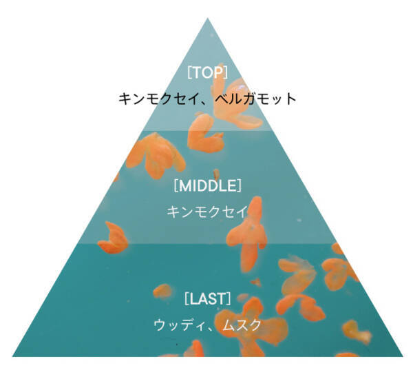 Shiroの人気フレグランス キンモクセイ 今年はシリーズ初となるボディミストも登場し3アイテムが発売 21年9月7日 エキサイトニュース Shiroの人気フレグランス キンモクセイ 今年はシリーズ初となるボディミストも登場し3アイテムが発売 21年9月7日 エキサイトニュース
