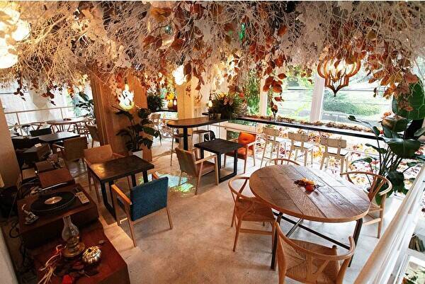 代々木公園の移りゆく景色もお楽しみ ネイキッドのカフェ Tree に秋を感じるスイーツ ドリンクが登場です 21年9月15日 エキサイトニュース