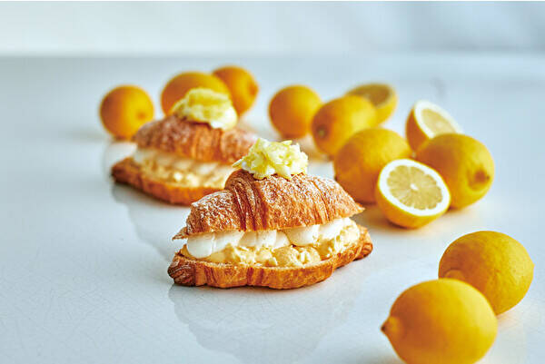 MAISON CACAOの初夏は“希少な国産レモン”が主役。爽やかなレモンスイーツは暑い日にこそ食べてみたい！