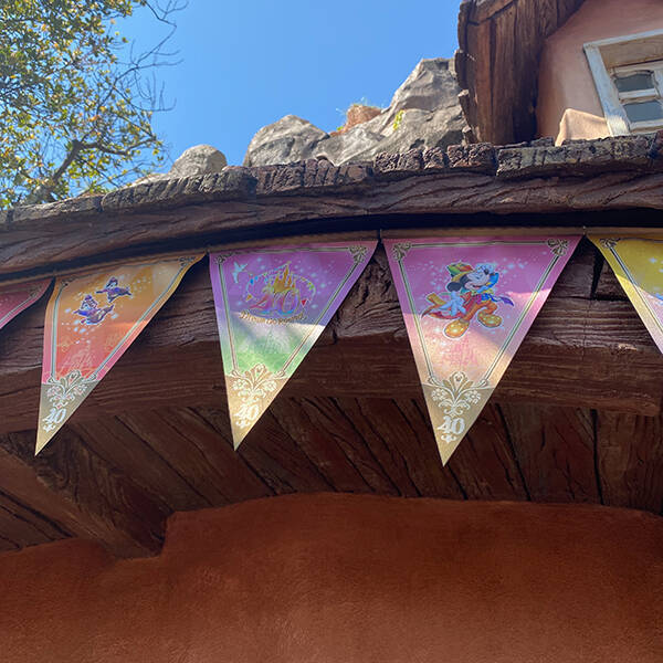 40周年を迎える東京ディズニーリゾートに一足先に行ってきた！楽しむための4つのポイントを押さえとこ