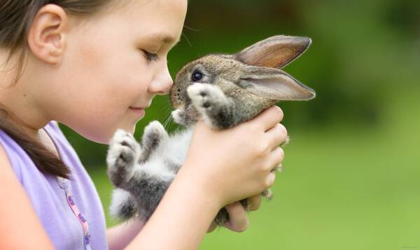 Gwの子連れお出かけスポット紹介 かわいい赤ちゃんが見られる 動物園 水族館5選 19年4月26日 エキサイトニュース