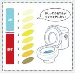 【夏の熱中症対策】脱水症状は子どもの「おしっこの色」でチェック！