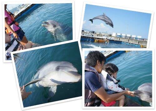 日本にも 可愛いイルカと触れ合える 夢のような施設があった 14年4月23日 エキサイトニュース