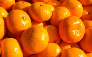 炎上「宇崎ちゃん」献血コラボ継続の影で、ラブライブのパネルが撤去されたワケ