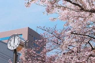 転勤先として「住みやすい」都道府県は？　転勤費用は3割が「手当なし」