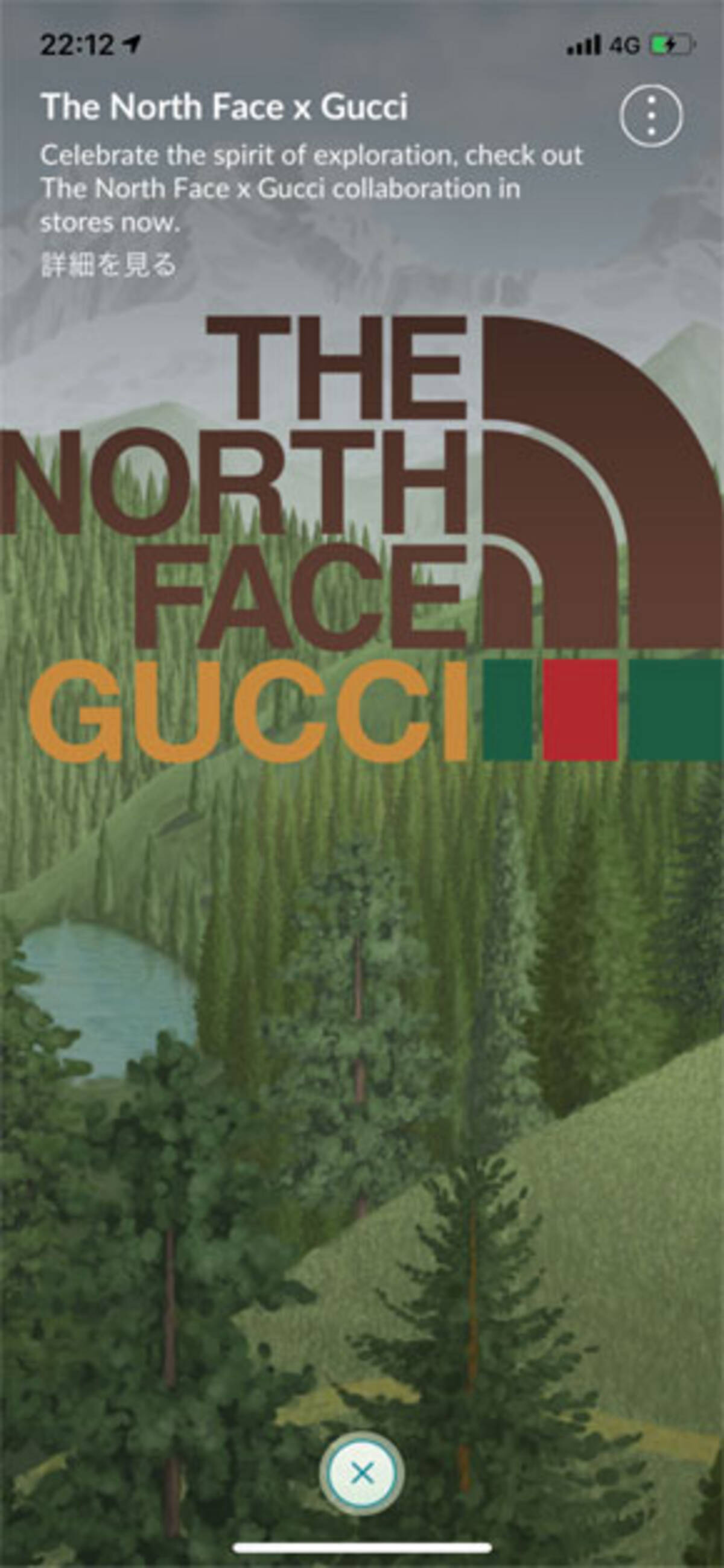 ポケモンgoで The North Face Gucci アイテムのプロモコード公開 どこでも入手可能に 21年1月9日 エキサイトニュース