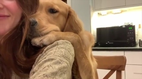 飼い主の帰宅にバックハグで甘える犬