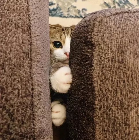 チラ見する姿がかわいい写真集