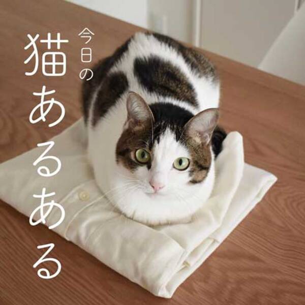 Kyowfq1tmx8w5m