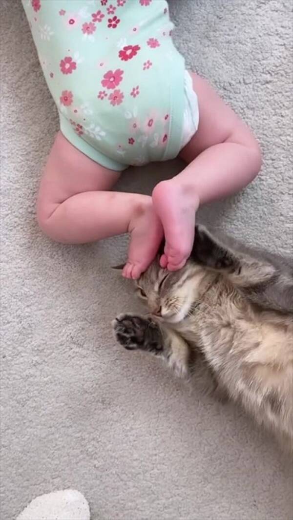 赤ちゃんにふみふみされる猫 嫌がると思いきや 足マッサージにご満悦の表情を見せる 21年1月22日 エキサイトニュース