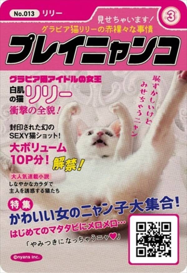 猫レンジャー ニャーの湯 猫の面白トレーディングカードがもらえるキャンペーン実施中 21年4月8日 エキサイトニュース