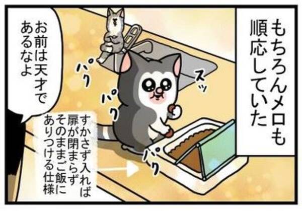 猫 どっちも食べたい 食いしん坊猫が欲張ったら 狙ったゴハンを失う悲劇を描いた漫画が面白い 21年4月9日 エキサイトニュース