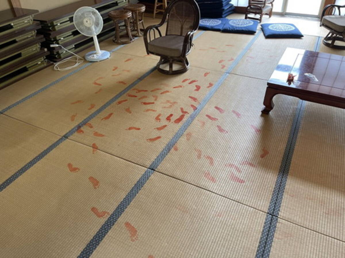 和室に残された無数の真っ赤な足跡 神社で起こった怪事件の意外な犯人に かわいい と和んでしまう 21年7月26日 エキサイトニュース