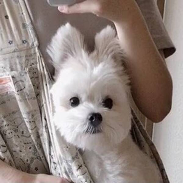 Howq5hjuc3gepm