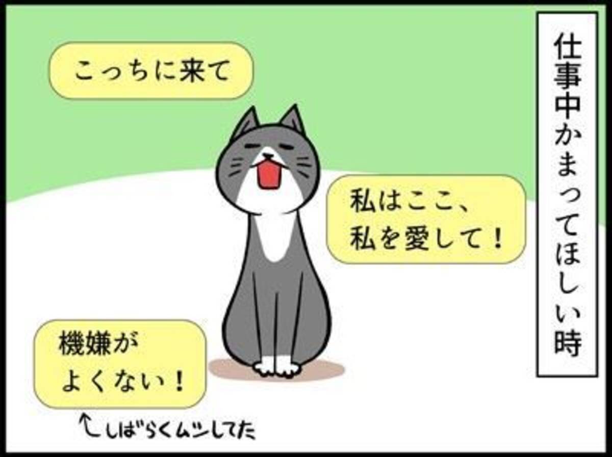 猫 かまって お前を倒してやる 猫語翻訳アプリで知る愛猫の本音に驚く飼い主の漫画が面白い 2021年10月28日 エキサイトニュース
