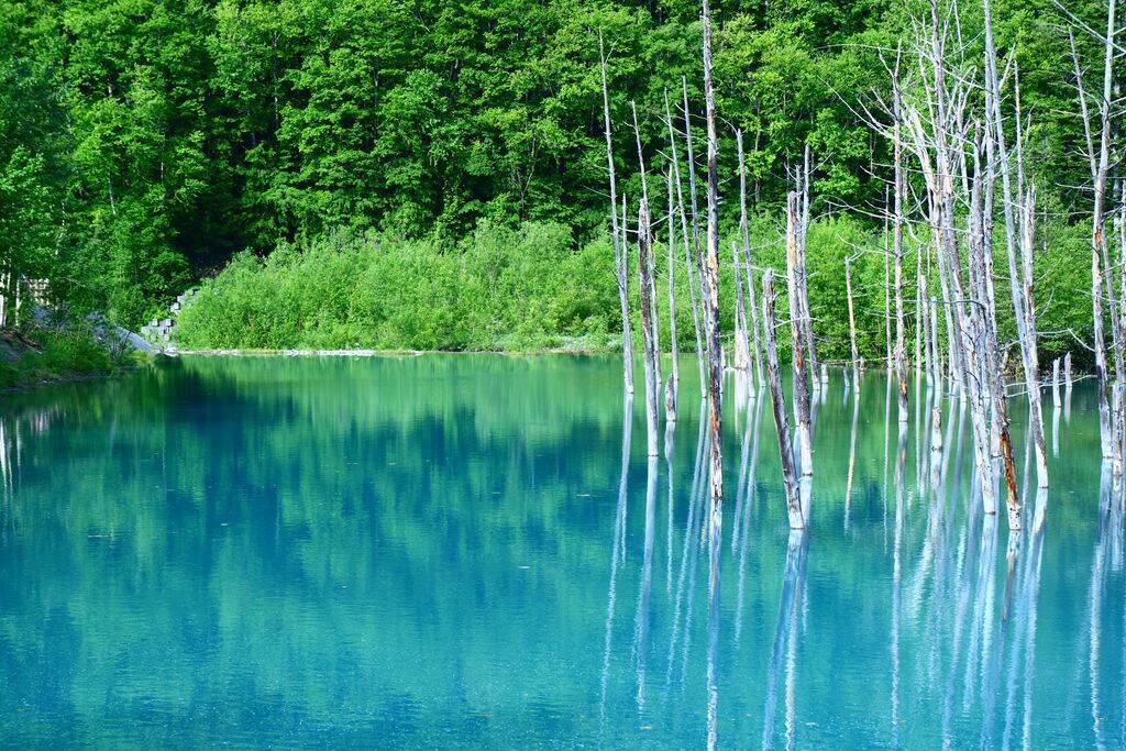 夏休みに家族旅行で行きたい 北海道 おすすめ観光スポット選 17年7月27日 エキサイトニュース