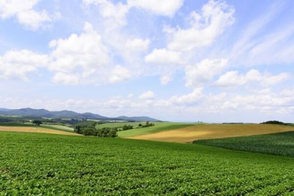 夏休みに家族旅行で行きたい 北海道 おすすめ観光スポット選 17年7月27日 エキサイトニュース