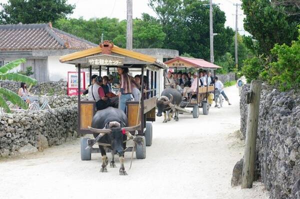 夏休みに家族旅行で行きたい沖縄のおすすめスポット 16年8月4日 エキサイトニュース