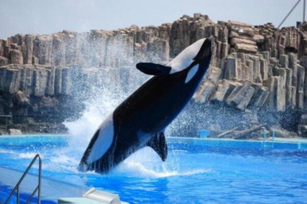 夏休みに家族旅行で行きたい名古屋のおすすめスポット 16年8月14日 エキサイトニュース