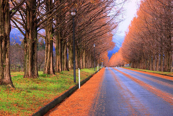 この秋カップルで行きたい 滋賀 人気デートスポット19選 定番から穴場まで 17年9月5日 エキサイトニュース