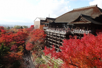 秋に行きたい【京都】おすすめ観光スポット18選！紅葉スポットも！