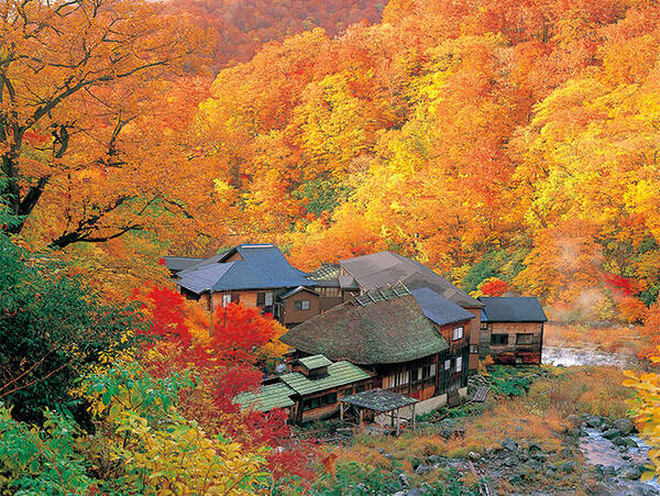 秋の休日に楽しむ 絶景 紅葉ハイキング 関東 東北 16年9月15日 エキサイトニュース