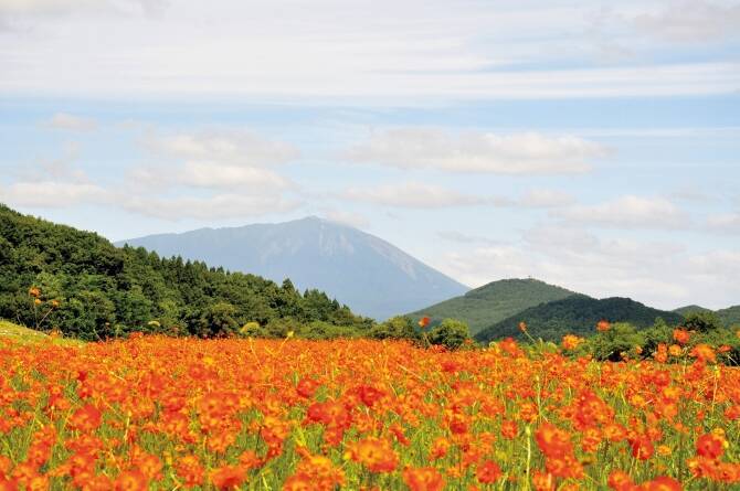 人気インスタグラマー解説付 秋におさえたい 絶景花畑スポット 東北 16年9月17日 エキサイトニュース