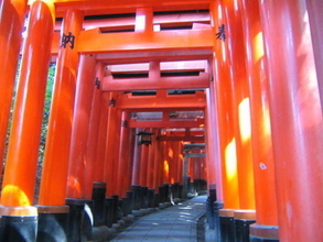 お寺だけが京都の魅力じゃない？！新たな京都の魅力を見つけに行こう！京都のおすすめスポット20選