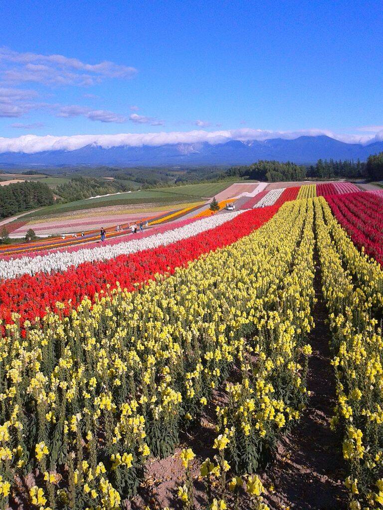 大自然に囲まれた北海道で紅葉を楽しもう 家族みんなで秋に行きたい北海道のおすすめスポット選 16年9月17日 エキサイトニュース 13 14