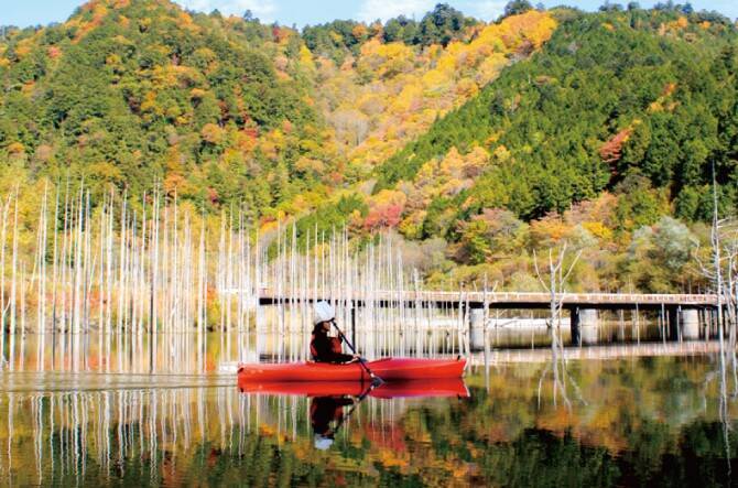 陸路で行けない穴場紅葉 湖面から見る紅葉絶景3選 東海 16年10月日 エキサイトニュース