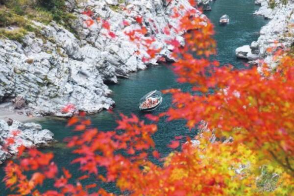 穴場情報付き 大歩危 祖谷 の紅葉 周辺おすすめ情報 徳島 16年10月18日 エキサイトニュース