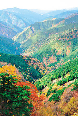 穴場情報付き 高野龍神スカイライン の紅葉 周辺おすすめ情報 和歌山 16年10月19日 エキサイトニュース