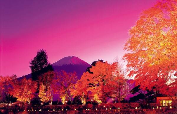 この秋行きたい 感動のライトアップ紅葉スポット 関東 16年10月13日 エキサイトニュース