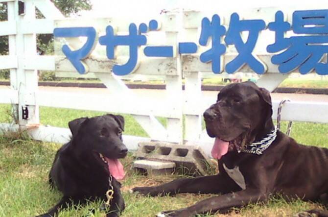 有名スポットから穴場スポットまで 11月に行ってみたい千葉のおすすめ観光スポット選 16年11月7日 エキサイトニュース