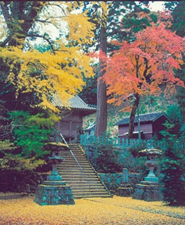 これぞ日本の秋風景 定番 穴場まで 九州の紅葉スポット 福岡編 16年11月8日 エキサイトニュース