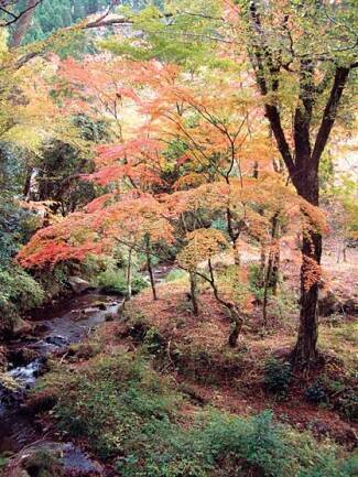 これぞ日本の秋風景 定番 穴場まで 九州の紅葉スポット 熊本編 16年11月12日 エキサイトニュース 4 4