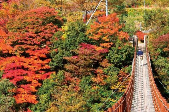 これぞ日本の秋風景 定番 穴場まで 九州の紅葉スポット 熊本編 2016年11月12日 エキサイトニュース