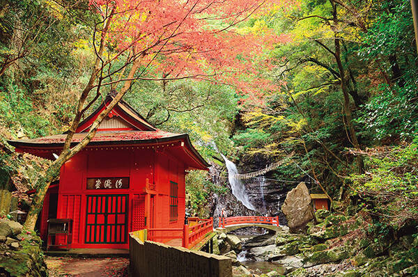 大阪中心部から1時間 気軽に行ける紅葉散歩スポット 犬鳴山 16年11月22日 エキサイトニュース