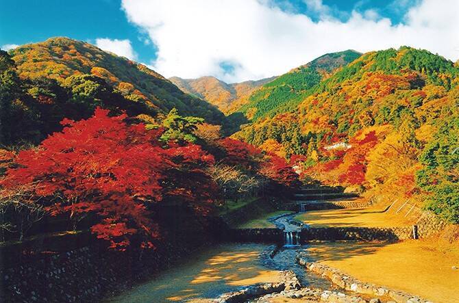 紅葉 滝の秋絶景 養老公園 で紅葉ドライブ 岐阜 16年11月23日 エキサイトニュース