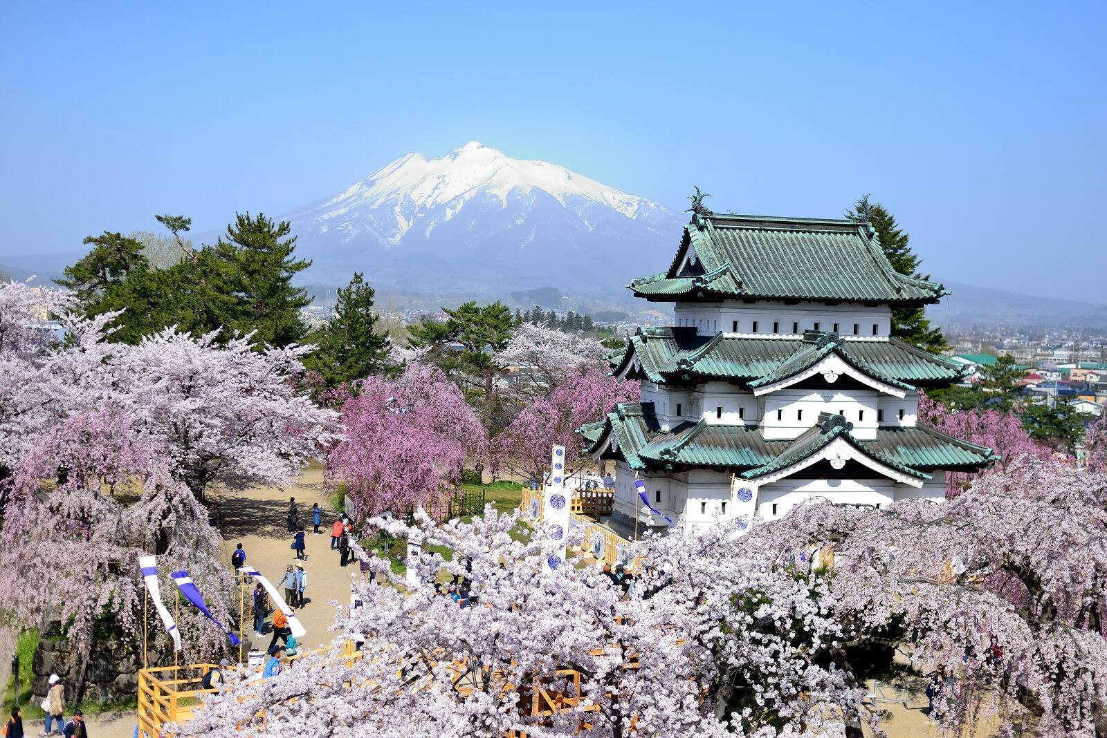 一度は見たい 美しすぎる春の絶景 全国のおすすめ桜名所30選 17 17年2月24日 エキサイトニュース