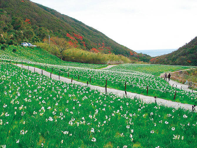梅 牡丹 椿が満開 17年2月3月のおすすめ花イベント 関西 中国地方 17年2月11日 エキサイトニュース