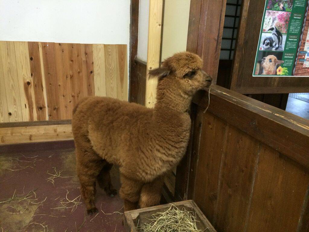 兵庫県 雨の日 お出かけ 大人 交際