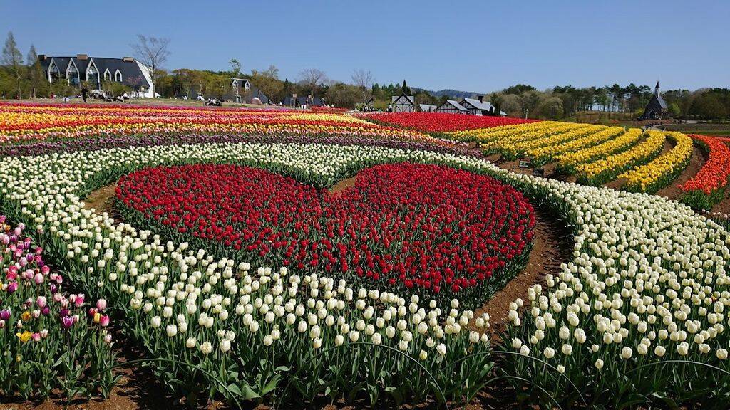 全国 おすすめ花畑30選 キレイすぎる一面の花々に癒されたい 19年2月13日 エキサイトニュース 10 16