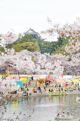 夜桜も美しい岡崎城 岡崎公園の桜 家康公の歴史を感じて 愛知 17年3月14日 エキサイトニュース