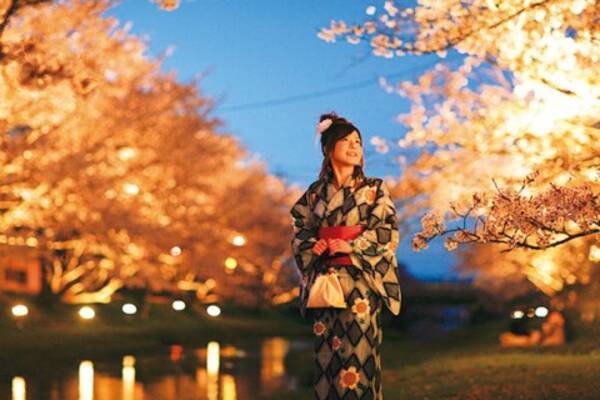 幻想的な夜桜に感動 17年絶対見るべきライトアップ桜8選 関西 中国 四国 17年3月13日 エキサイトニュース