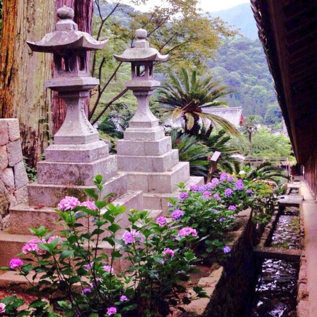 雨の日だってお出かけしたくなる お寺でしっとり 京都 奈良のあじさい名所5選 17年3月31日 エキサイトニュース