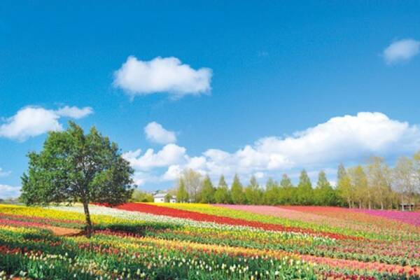 17年gw ゴールデンウィーク に行きたい カラフルすぎる絶景スポット 関西 中国 四国 17年4月10日 エキサイトニュース