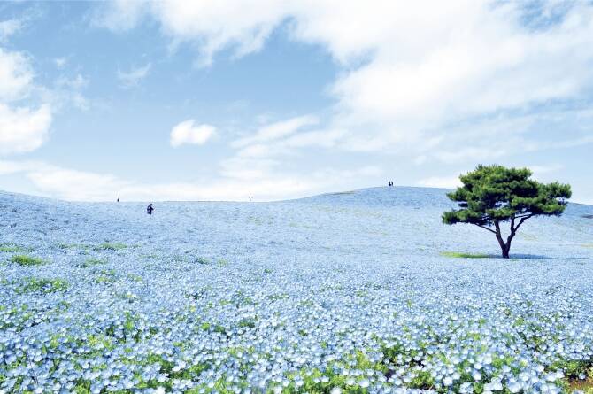 ゴールデンウィーク Gw におすすめ 関東近郊の絶景お出かけスポット 17 17年4月13日 エキサイトニュース