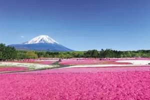 ゴールデンウィーク Gw におすすめ 東北の絶景お出かけスポット17 17年4月19日 エキサイトニュース