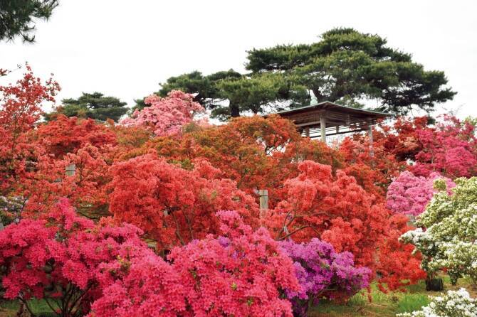 週末デートや観光にもおすすめ 関東 5月 6月開催の注目イベント17 17年5月7日 エキサイトニュース 週末デートや観光にもおすすめ 関東 5月 6月開催の注目イベント17 17年5月7日 エキサイトニュース